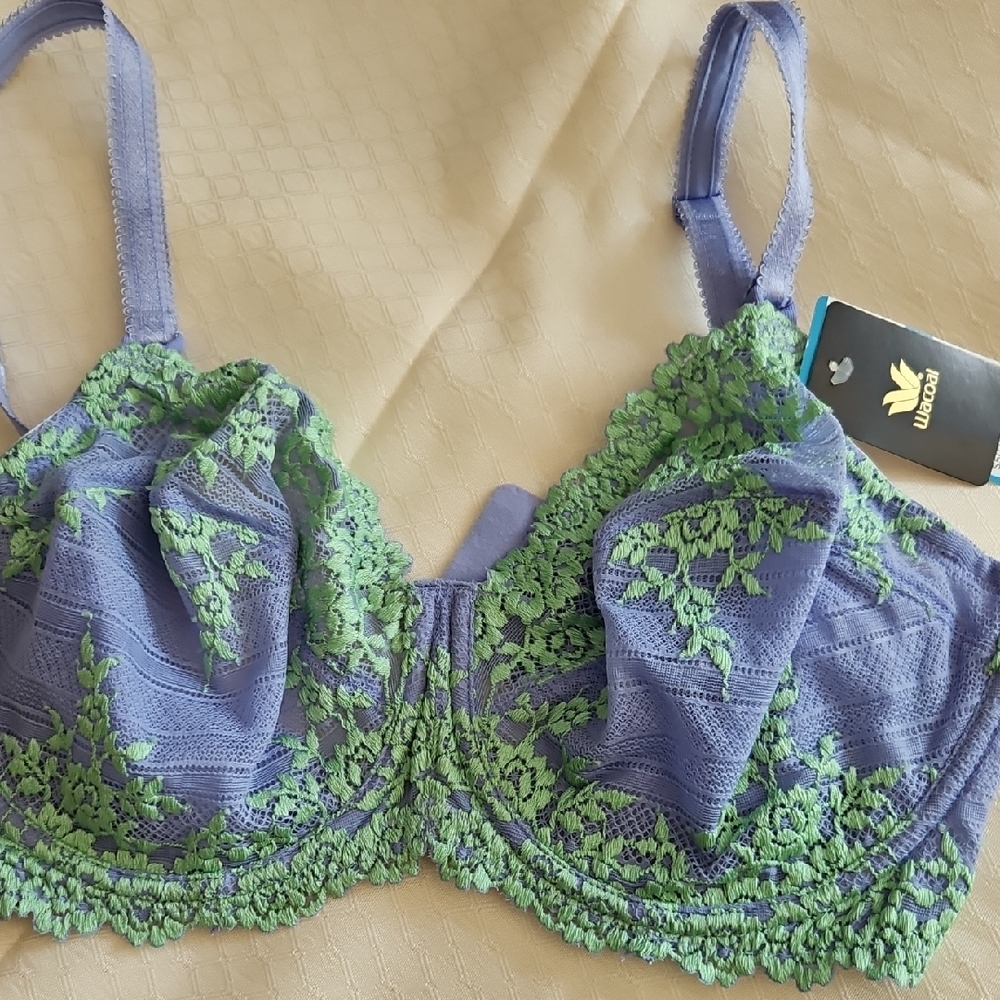 Wacoal Lace Bra in Lavender and Lime
